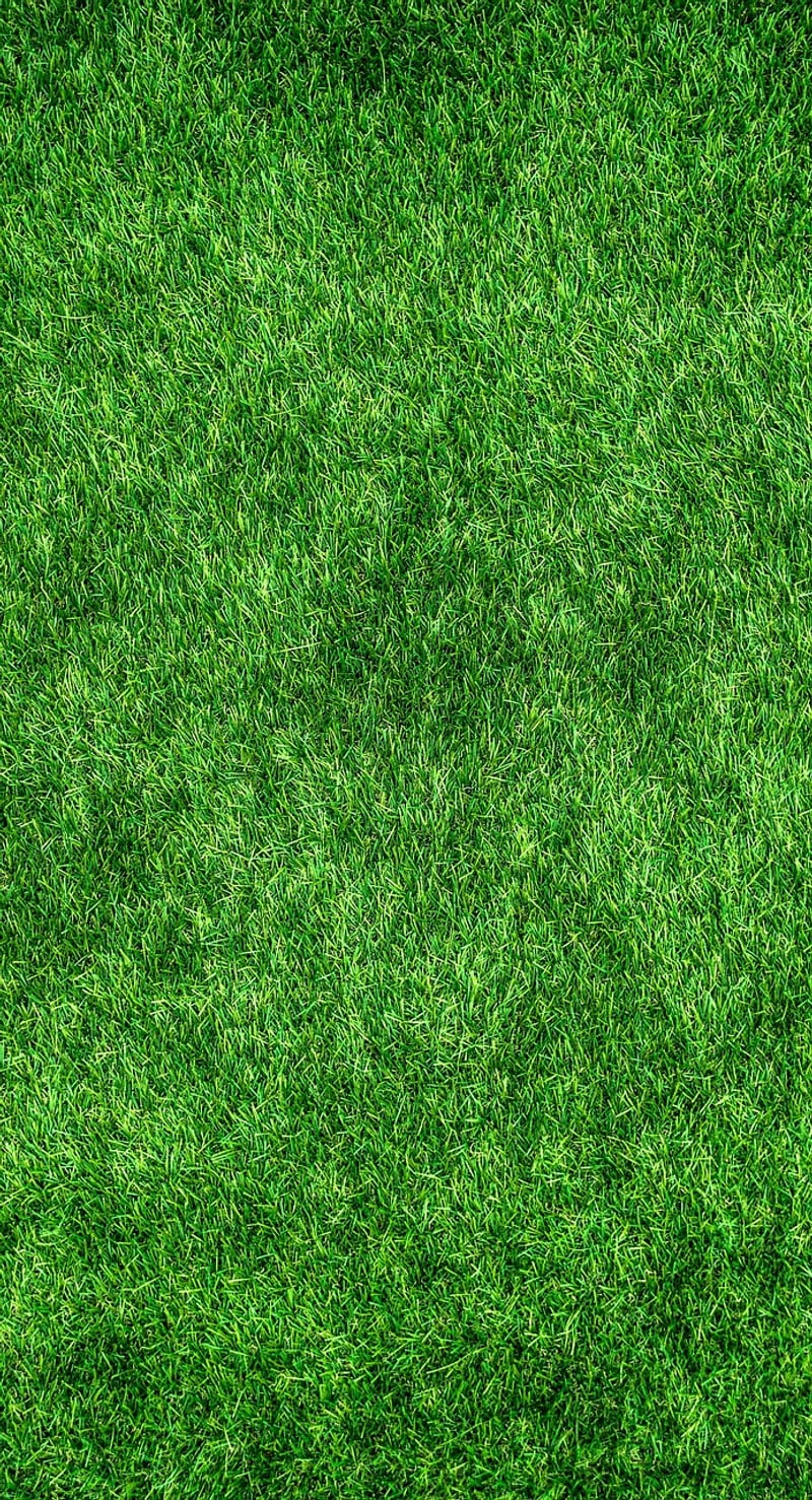Eco-friendly World